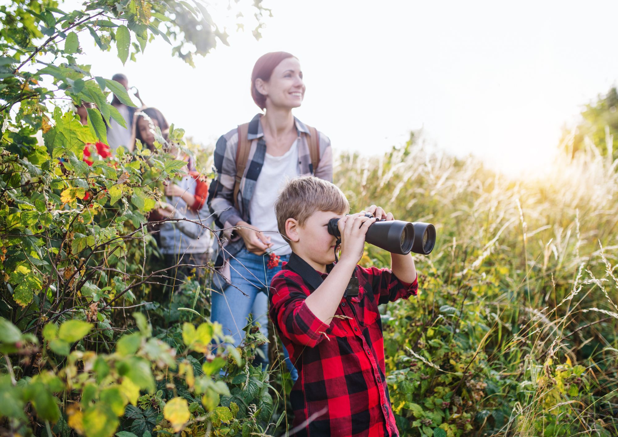 טיולים עם ילדים בארץ